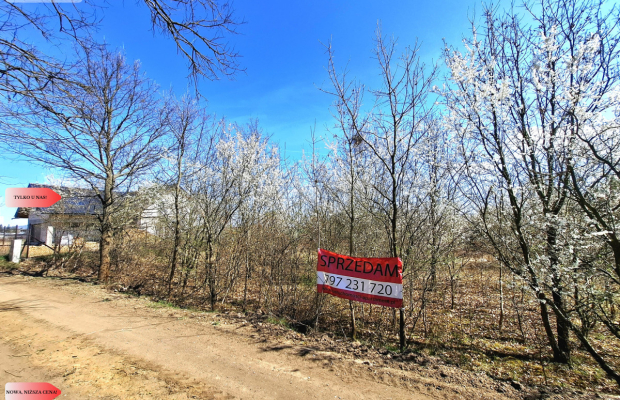 MORZEWIEC 3260m2, WYDANE WZ, CISZA, SPOKÓJ