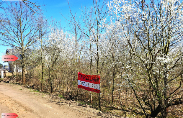 MORZEWIEC 3260m2, WYDANE WZ, CISZA, SPOKÓJ