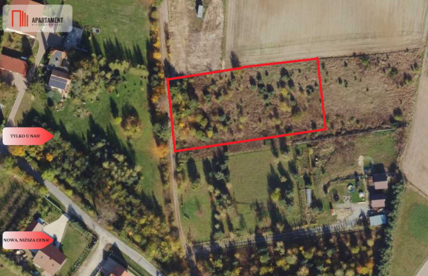 MORZEWIEC 3260m2, WYDANE WZ, CISZA, SPOKÓJ