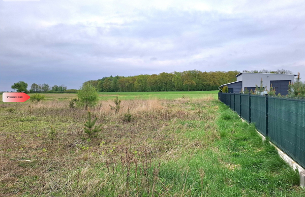 Szczutki 1106m2 malownicze miejsce pola lasy