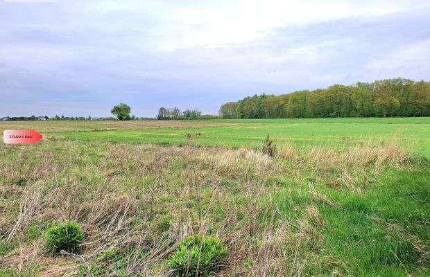 Szczutki 1106m2 malownicze miejsce pola lasy