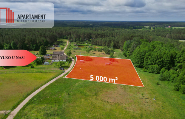 Działka 5000 m2 ze ścianą lasu, raj dla duszy