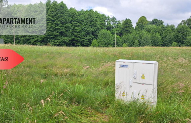 Działka 5000 m2 ze ścianą lasu, raj dla duszy