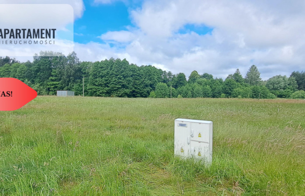 Działka 5000 m2 ze ścianą lasu, raj dla duszy
