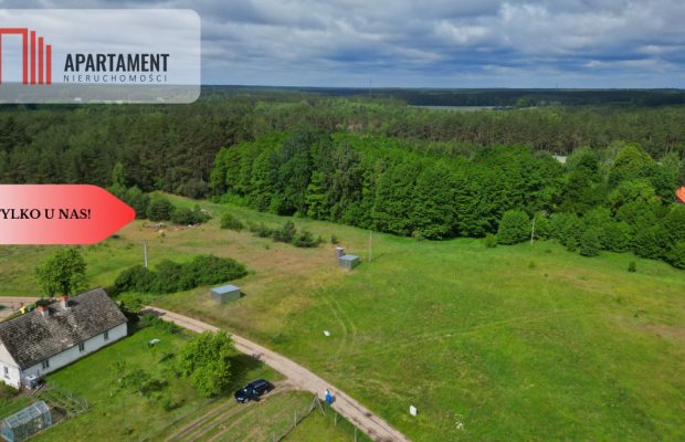 Działka 5000 m2 ze ścianą lasu, raj dla duszy