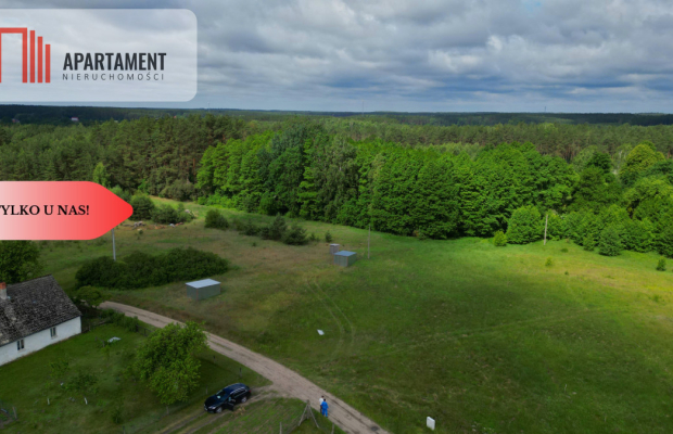 Działka 5000 m2 ze ścianą lasu, raj dla duszy