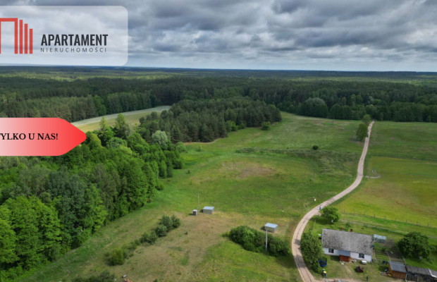 Działka 5000 m2 ze ścianą lasu, raj dla duszy