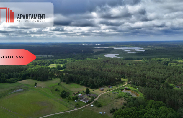 Działka 5000 m2 ze ścianą lasu, raj dla duszy