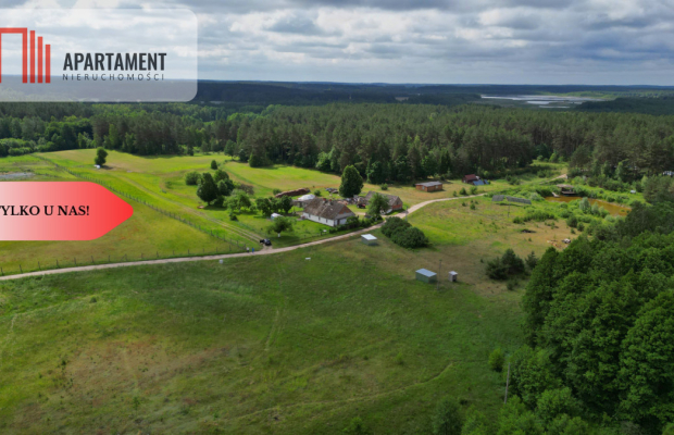 Działka 5000 m2 ze ścianą lasu, raj dla duszy