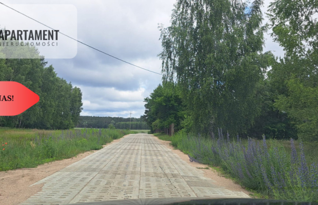 Działka 5000 m2 ze ścianą lasu, raj dla duszy
