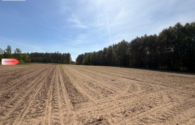 Tylko u nas!4500 m² ciszy i zieleni–Bory Tuchols