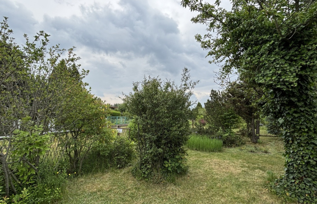 Częstochowa, ul. Bór | Działka ROD