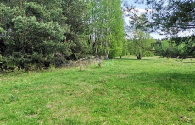 Dąbrowa, gmina Polkowice, działka budowlana, 13200 m2, sprzedaż, 594 000 zł.  
  
Na sprzedaż grunt budowlany dz. 186/4 w miejs