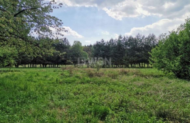Dąbrowa, gmina Polkowice, działka budowlana, 1000 m2, sprzedaż, 45000 zł.  
  
Na sprzedaż grunt budowlany dz. 186/4 w miejscow