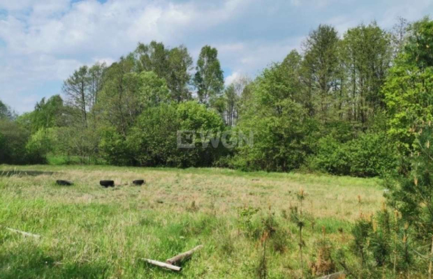 Dąbrowa, gmina Polkowice, działka budowlana, 1000 m2, sprzedaż, 45000 zł.  
  
Na sprzedaż grunt budowlany dz. 186/4 w miejscow