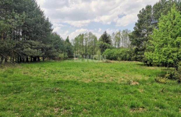Dąbrowa, gmina Polkowice, działka budowlana, 1000 m2, sprzedaż, 45000 zł.  
  
Na sprzedaż grunt budowlany dz. 186/4 w miejscow