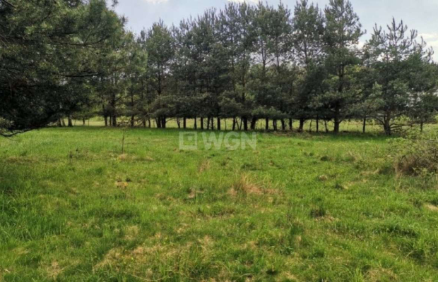 Dąbrowa, gmina Polkowice, działka budowlana, 1000 m2, sprzedaż, 45000 zł.  
  
Na sprzedaż grunt budowlany dz. 186/4 w miejscow