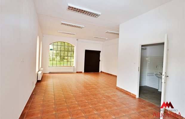 Arkadia Nieruchomości oferuje na wynajem lokal o łącznej powierzchni 260 m², idealny dla firm szukających przestrzeni w atrakcy