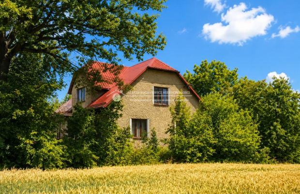 Dom z dużą działką budowlaną 2 994 m² — Kaniów, ul. Mirowska 24 

 Nieruchomość z potencjałem inwestycyjnym w spokojnej części 