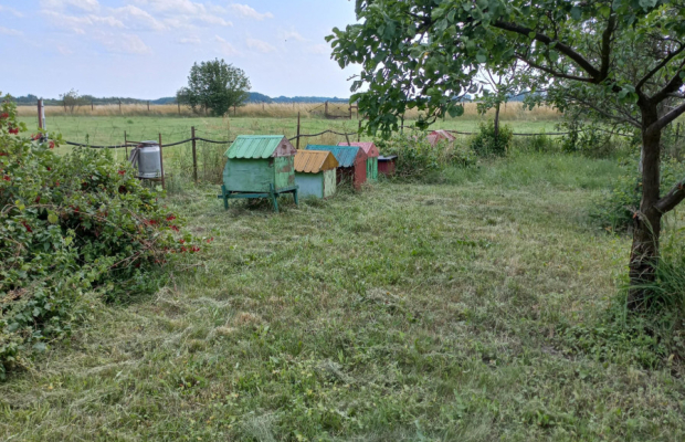Dom wolnostojący 250m2 | Działka 34ar | Budynki