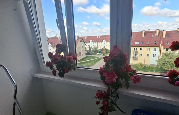 2 pokoje | 44,3 m² | Polkowice | ul. 3 Maja