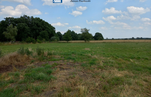działka budowlana 73ar, Kłębanowice/Polkowice