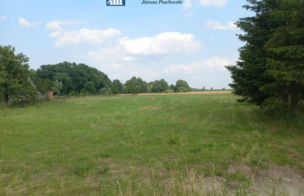 działka budowlana 73ar, Kłębanowice/Polkowice