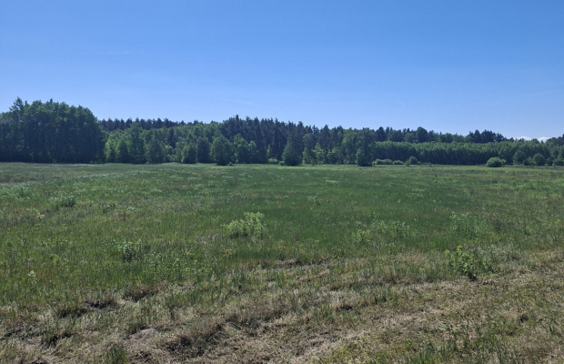Działka 1,99ha | 84ar MPZP | Pogorzeliska