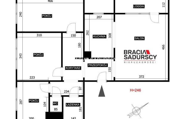 Duże mieszknie 3 sypialnie salon balkon