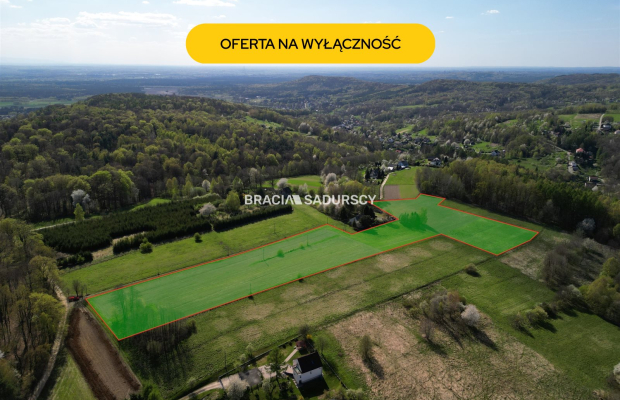 Płaska działka 2,21ha | Inwestycja | Natura