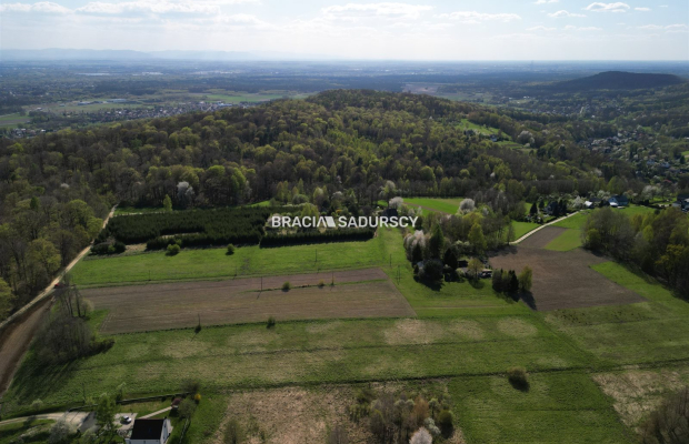 Płaska działka 2,21ha | Inwestycja | Natura
