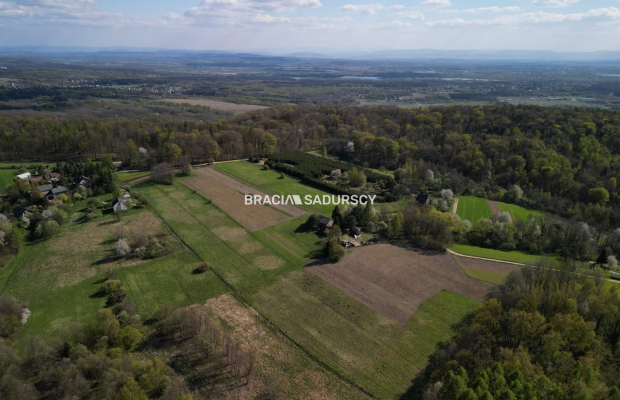 Płaska działka 2,21ha | Inwestycja | Natura