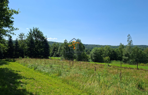 Klimatyczne siedlisko z lasem. Gm. Nowy Wiśnicz.
