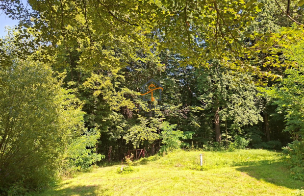Klimatyczne siedlisko z lasem. Gm. Nowy Wiśnicz.