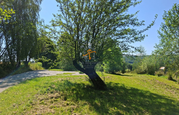 Klimatyczne siedlisko z lasem. Gm. Nowy Wiśnicz.