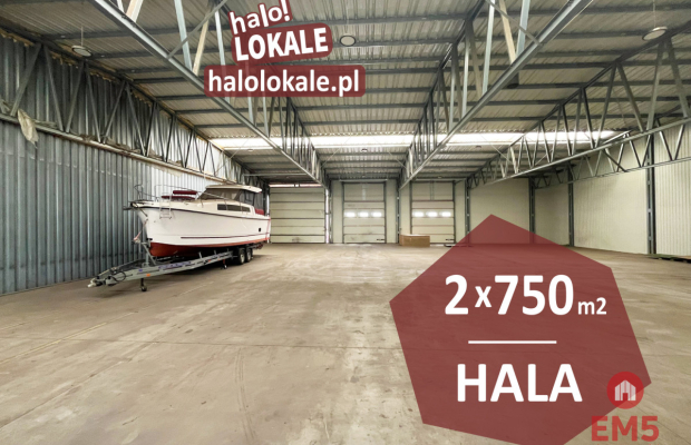 Hala, produkcja, magazyn