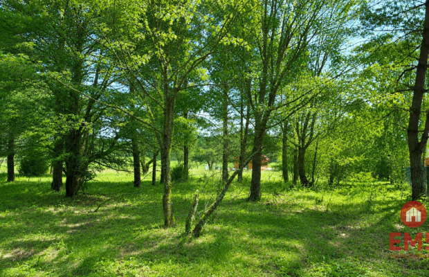 Działka 1792 m2, Pieńki