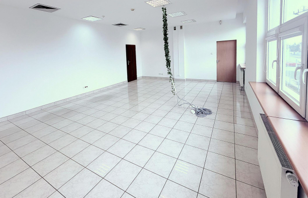 Pabianice - powierzchnia biurowa 200 m2, parking