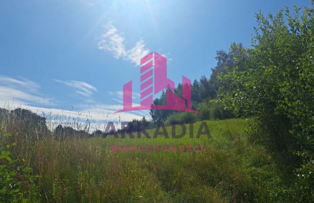 Działka  budowlana 50a - Jędrzejowice