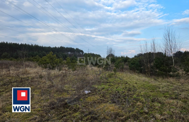 Zapraszam do zapoznania się z ofertą sprzedaży gruntu o powierzchni 14996 m2, położonej w Kłopotowie, gm. Lubin.  
  
Działka w