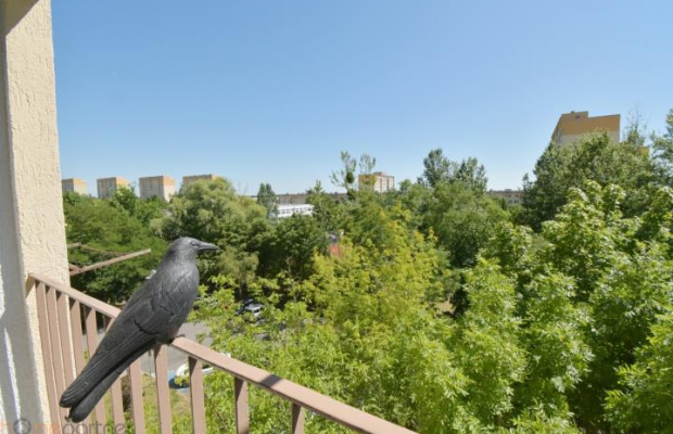 Wynajem 4 pok mieszkanie z balkonem, klimatyzacja