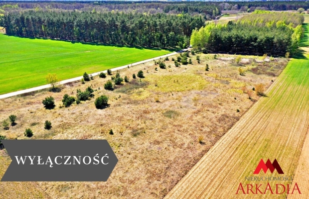 5 działek /Winduga/Gm. Bobrowniki /WZ