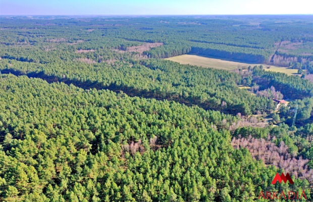 Działka las iglasty 40-50 letni, Bobrownickie Pole