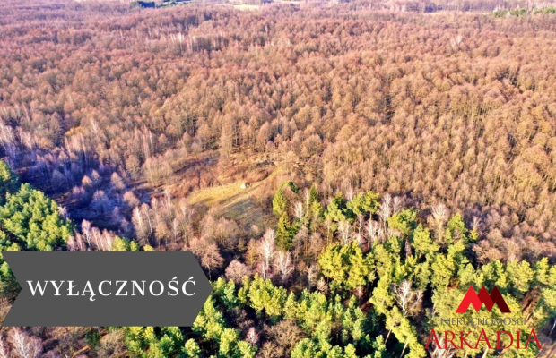 Działka leśna/Wistka Królewska