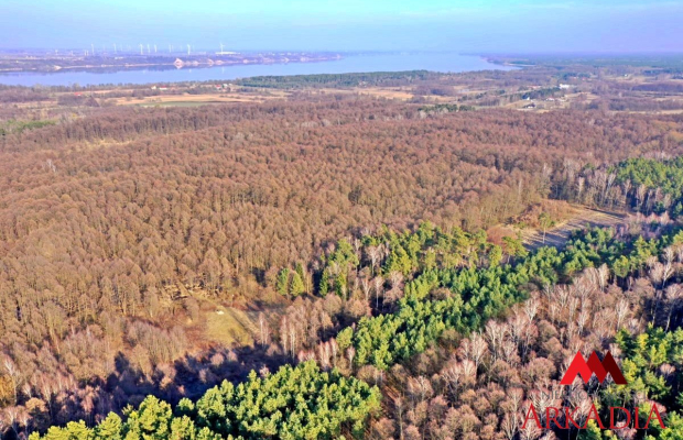 Działka leśna/Wistka Królewska