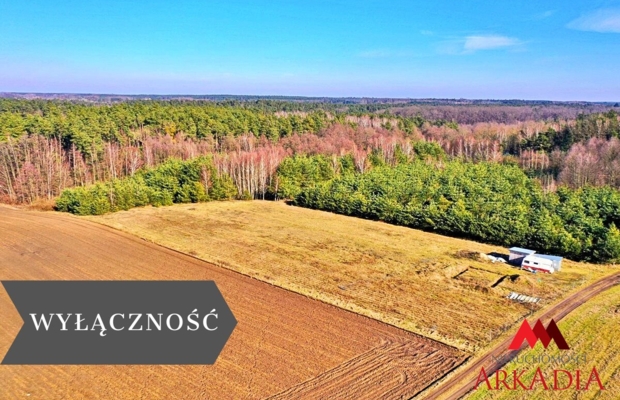 Arkadia Nieruchomości  oferuje na sprzedaż  niezabudowaną nieruchomość gruntową , położoną w  województwie kujawsko-pomorskim ,