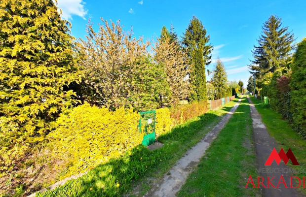DZIAŁKA ROD NA SPRZEDAŻ WIOSENKA RYBNICA