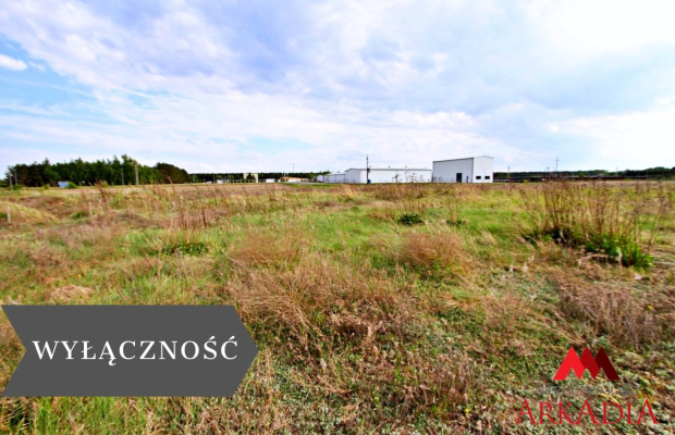 Działka na sprzedaż,Gąbinek
