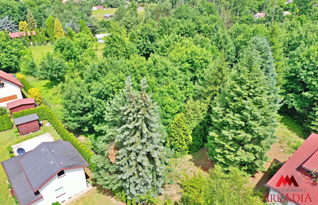 Działka w okolicach jeziora Ługowiska,Chodecz