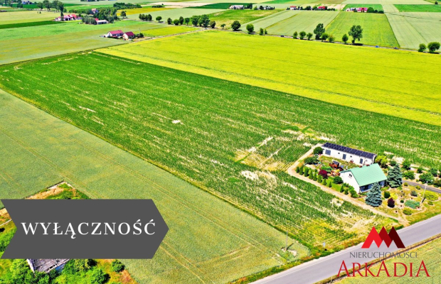 2 działki na sprzedaż z warunkami zabudowy-Brzezie